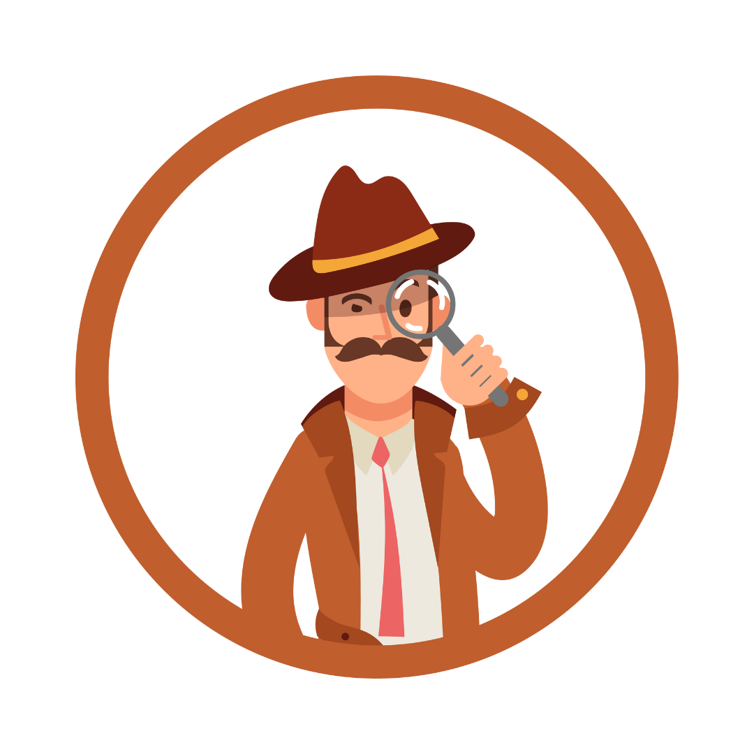 gdpr privedetective